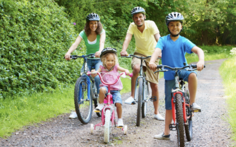 Billede af Leje af CYKLER I ALLE TYPER, MODELLER OG STØRRELSER